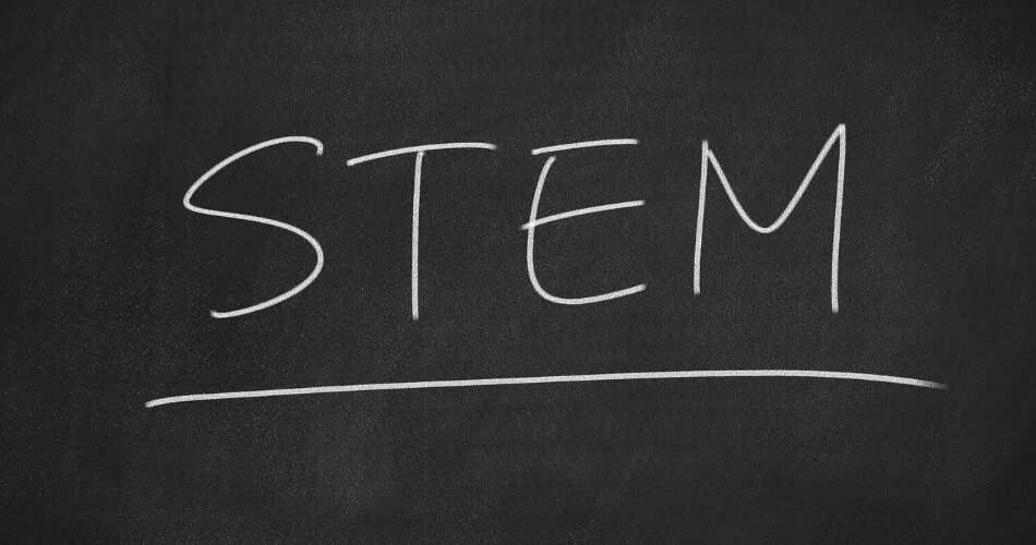 STEM Sınıfınızı Daha Verimli Hale Getirmenin 5 Yolu